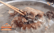 เริ่มหนาวหมูกะทะขายดี เตือนสารก่อมะเร็ง-ฟอร์มาลีน
