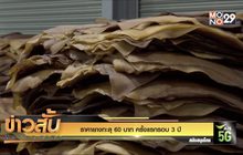 ราคายางทะลุ 60 บาท ครั้งแรกรอบ 3 ปี