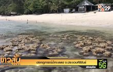 ปรากฏการณ์น้ำทะเลลด จ.ประจวบคีรีขันธ์