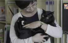 พนักงานออฟฟิศญี่ปุ่นนำสัตว์เลี้ยงมาที่ทำงานมากขึ้น