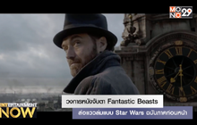 วงการหนังจับตา Fantastic Beasts – ส่อแววล่มแบบ Star Wars ฉบับภาคก่อนหน้า