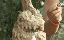 ฮือฮา! พบรูปปั้นพญานาคเก่าแก่ คนแห่ขอโชคลาภ