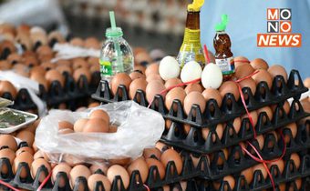 ไข่ไก่แพงไม่หยุด! ฟาร์มปรับราคาขึ้น 20 สตางค์/ฟอง