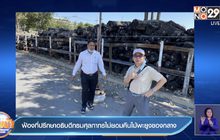 ฟ้องที่ปรึกษาอธิบดีกรมศุลกากรไม่ยอมคืนไม้พะยูงของกลาง