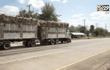 แก้ปัญหาอุบัติเหตุรถบรรทุกอ้อย จ.อุดรธานี