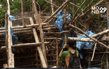 มาเลเซียพบ 24 ศพใกล้ชายแดนไทย