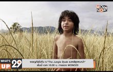 ผจญภัยไปกับ ภ.“The Jungle Book เมาคลีลูกหมาป่า” เย็นนี้ เวลา 18.00 น. ทางช่อง MONO29