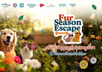 ททท. เปิดตัวโครงการ “Fur Season Escape หนีเที่ยวทุกฤดูกับคุณหนูสี่ขา” ชวนสัมผัสประสบการณ์ท่องเที่ยวแบบ Pet-friendly ระดับพรีเมียม พร้อมจัดงาน ME & PAWS Fair ในบรรยากาศแสนเก๋และอบอุ่น