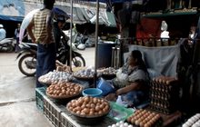ชาวเมียนมาแห่ซื้อไข่ไก่ไทยหลังไข้หวัดนกระบาด