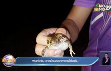 ฝนทำเงิน ชาวบ้านออกหารายได้เสริม