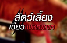 สัตว์เลี้ยงเขี้ยวเพชฌฆาต