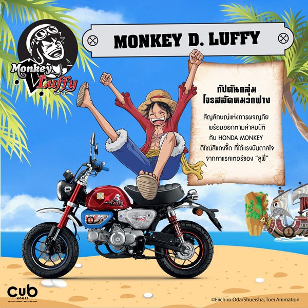 Monkey x One Piece Limited Edition
