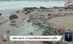 ตะลึง! ขยะกว่า 10 ตันถูกซัดขึ้นเต็มหาดป่าตอง จ.ภูเก็ต