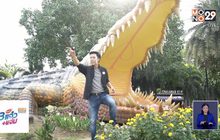 จระเข้บึงสีไฟเเห่งเมืองพิจิตร