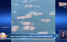 คลิป แมงกะพรุนนับร้อย รวมกลุ่มอวดโฉมริมท่าเรือในอิตาลี
