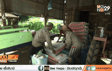 รัฐเล็งออกคูปองช่วยเกษตรกรแลกซื้อปัจจัยผลิต