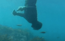 วัฒนธรรมดำน้ำจับปลาด้วยมือเปล่าในเกาหลีใต้