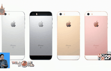ฟอร์บส์ยก Apple บริษัทเทคโนฯ ใหญ่สุดในโลก