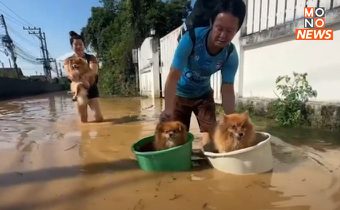 “ชาวป่าแดด” รีบอพยพหนีมวลน้ำจากตัวเมือง “ผู้ป่วย-คนแก่-เด็ก-สัตว์เลี้ยง” เพียบ