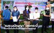 ‘รมช.มนัญญา’ ลุยกระบี่ เดินหน้าแจกต้นกัญชา หนุนเกษตรกรปลูก