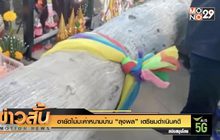 อายัดไม้มะค่าหนามบ้าน “ลุงพล” เตรียมดำเนินคดี