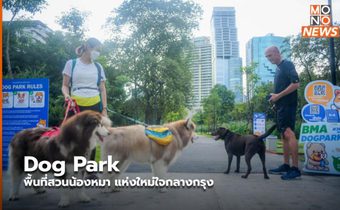 Dog Park พื้นที่สวนน้องหมา แห่งใหม่ใจกลางกรุง