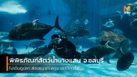 กำเงิน 80 บาท ไปเดินดูโลกใต้ทะเล ที่ พิพิธภัณฑ์สัตว์น้ำบางแสน จ.ชลบุรี
