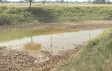 สถานการณ์ภัยแล้งภาคอีสานรุนแรงต่อเนื่อง