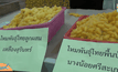 นักวิจัยพบหนอนไหมออกฤทธิ์เทียบ “ยาไวอากร้า”