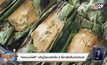 “ห่อหมกเจ๊ศรี” ขวัญใจชาวสำเพ็ง 6 ไส้ทะลักเต็มห่อ25บาท