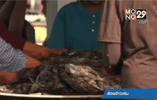 สมาชิกสภาผู้แทนฯสหรัฐร้องคว่ำบาตรกุ้ง-ปลาไทย