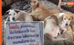 “เจ้าอาวาส” สุดทน! ติดป้ายเตือน อย่านำหมามาปล่อยหน้าวัด เพราะโดนรถชนตายเกลื่อน