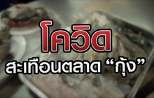 โควิด สะเทือนตลาด “กุ้ง” 25-12-63
