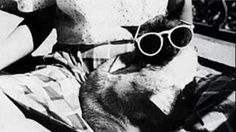 25 ภาพถ่ายฝีพระหัตถ์ ของ ในหลวง ที่หลายคนอาจไม่เคยเห็นมาก่อน!!