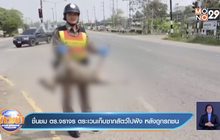 ชื่นชม ตร.จราจร ตระเวนเก็บซากสัตว์ไปฝัง หลังถูกรถชน