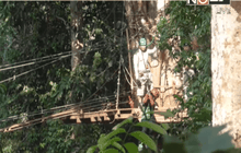 เตรียมประชุมแก้ปัญหาเล่นซิปไลน์เกิดอุบัติเหตุซ้ำซาก