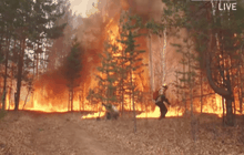 รัสเซียเผชิญไฟป่า