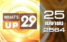 What’s up 29 25-04-64