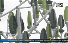 ต้นไม้กังหันลมผลิตกระแสไฟฟ้า