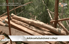 ยึดไม้หวงห้ามในสำนักสงฆ์ จ.ชัยภูมิ