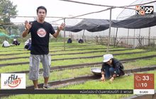 เจษฎาพาลุย : จิบชาใบข้าวทุ่งกุลาหนึ่งเดียวในไทย จ.ร้อยเอ็ด