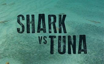 Shark vs Tuna ฉลาม ปะทะ ทูนา