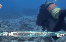 แผนย้ายฐานทัพสหรัฐกระทบสิ่งแวดล้อมเกาะโอกินาวะ