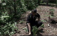 ชาวสวนทุเรียนมาเลเซียขอให้ควบคุมเหมืองแร่บอกไซต์