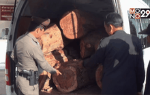 ตำรวจยโสธรยึดไม้พะยูงมูลค่ากว่า 3 ล้านบาท