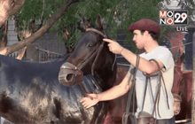 โคลนนิ่งม้าแข่งในอาร์เจนตินา