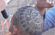 ชิงแชมป์แกะลายบนศรีษะสร้างสีสัน