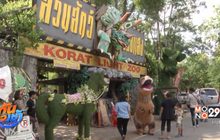 เพลิดเพลินในสวนสัตว์เรืองแสง