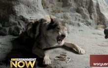 Movie Review : Alpha