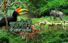ซาฟารีห้วยขาแข้ง 05-09-62